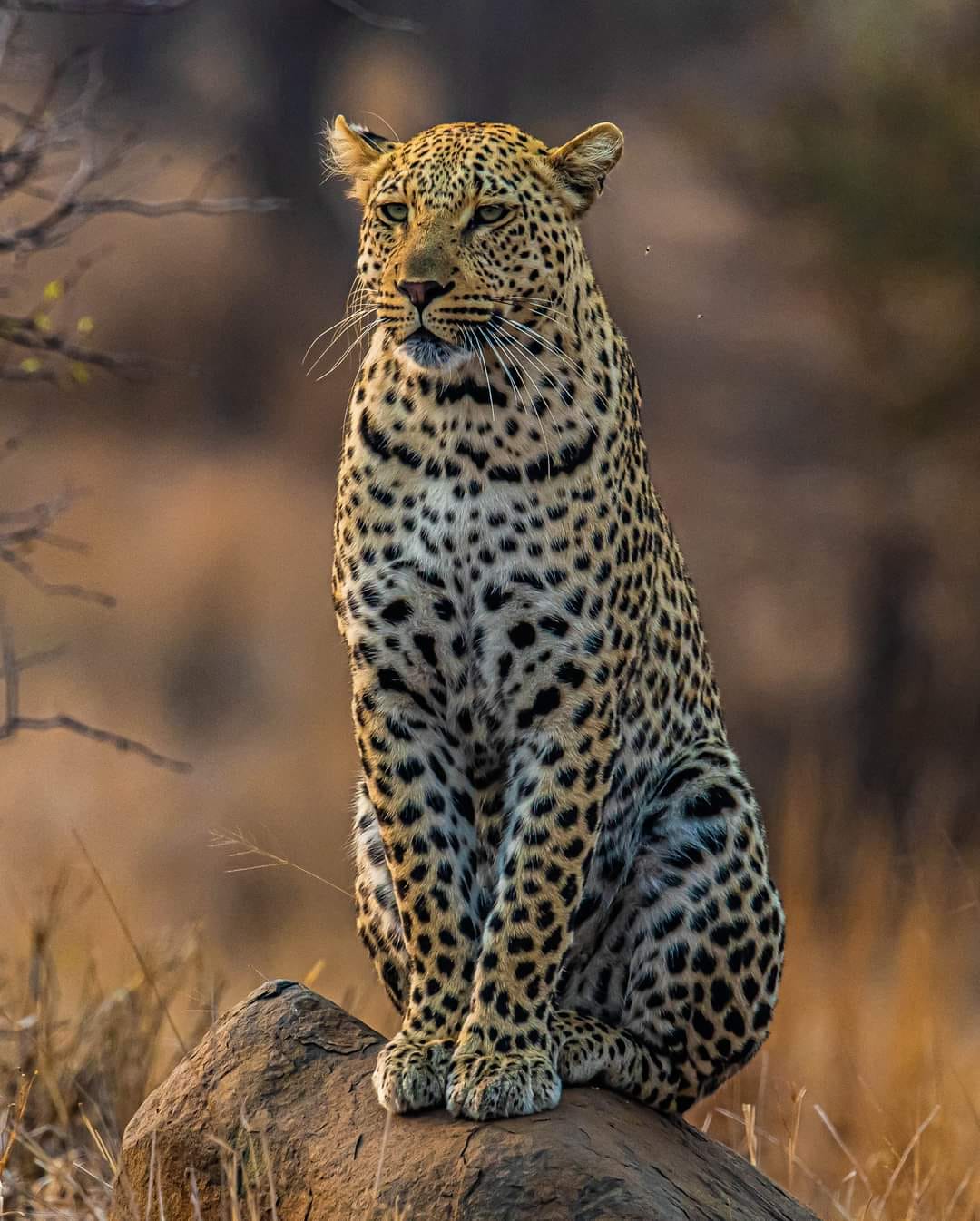 3 Days Masai Mara Safaris