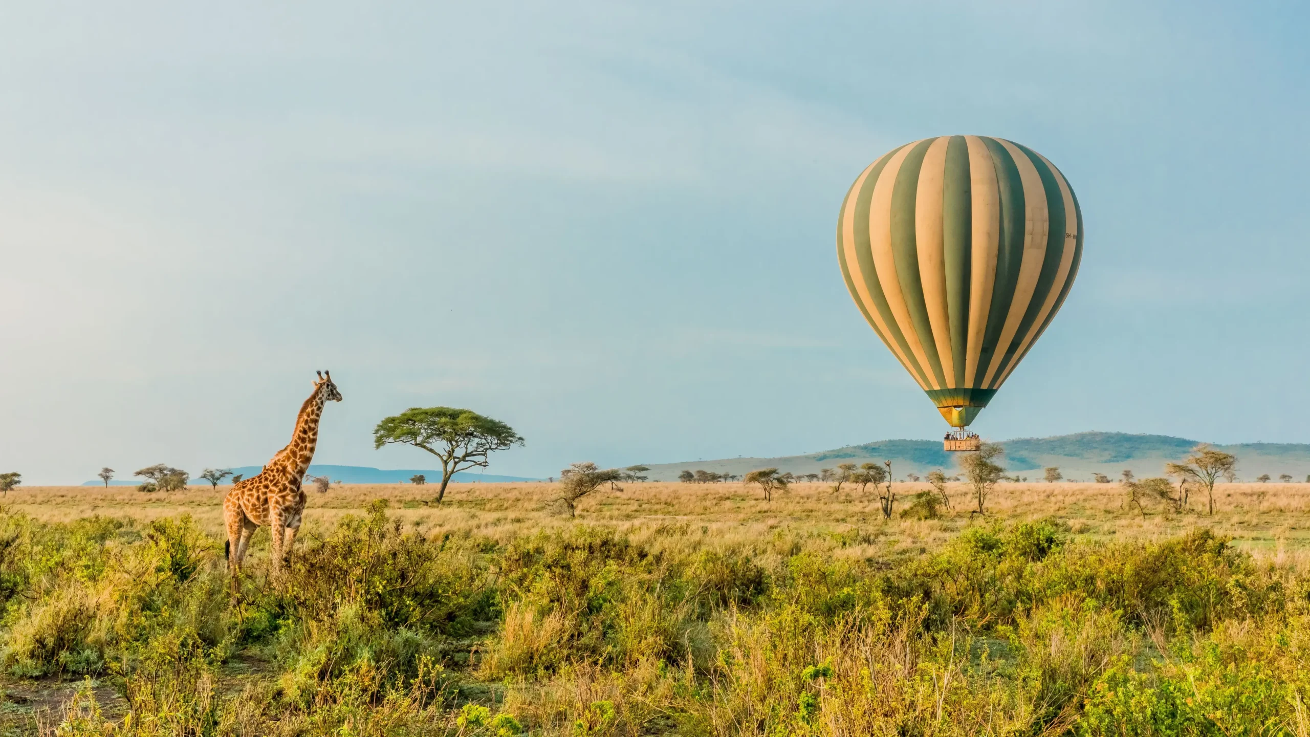 Serengeti Safari Experience