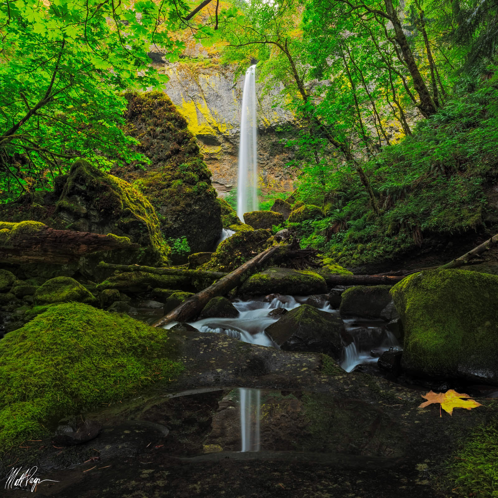 Out of all of the photographs that I took this past week in the Columbia River Gorge, this might be the one I was most excited to edit. Elowah Falls is magnificent to see in person and there are about 1000 compositions available here - a true photographer's dream! To shoot this photo required a ton of forethought and post-processing to accomplish, and I think it could be improved! This is a two-photo panorama taken at 14mm, with some focus stacking and hand-blending. I used a fotodiox Circular Polarizer as well.